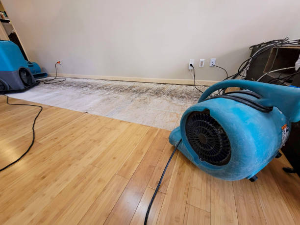 Professional Basement Flood Cleanup technician working in West Memphis, AR
